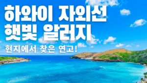 하와이 자외선 햇빛 알러지 연고