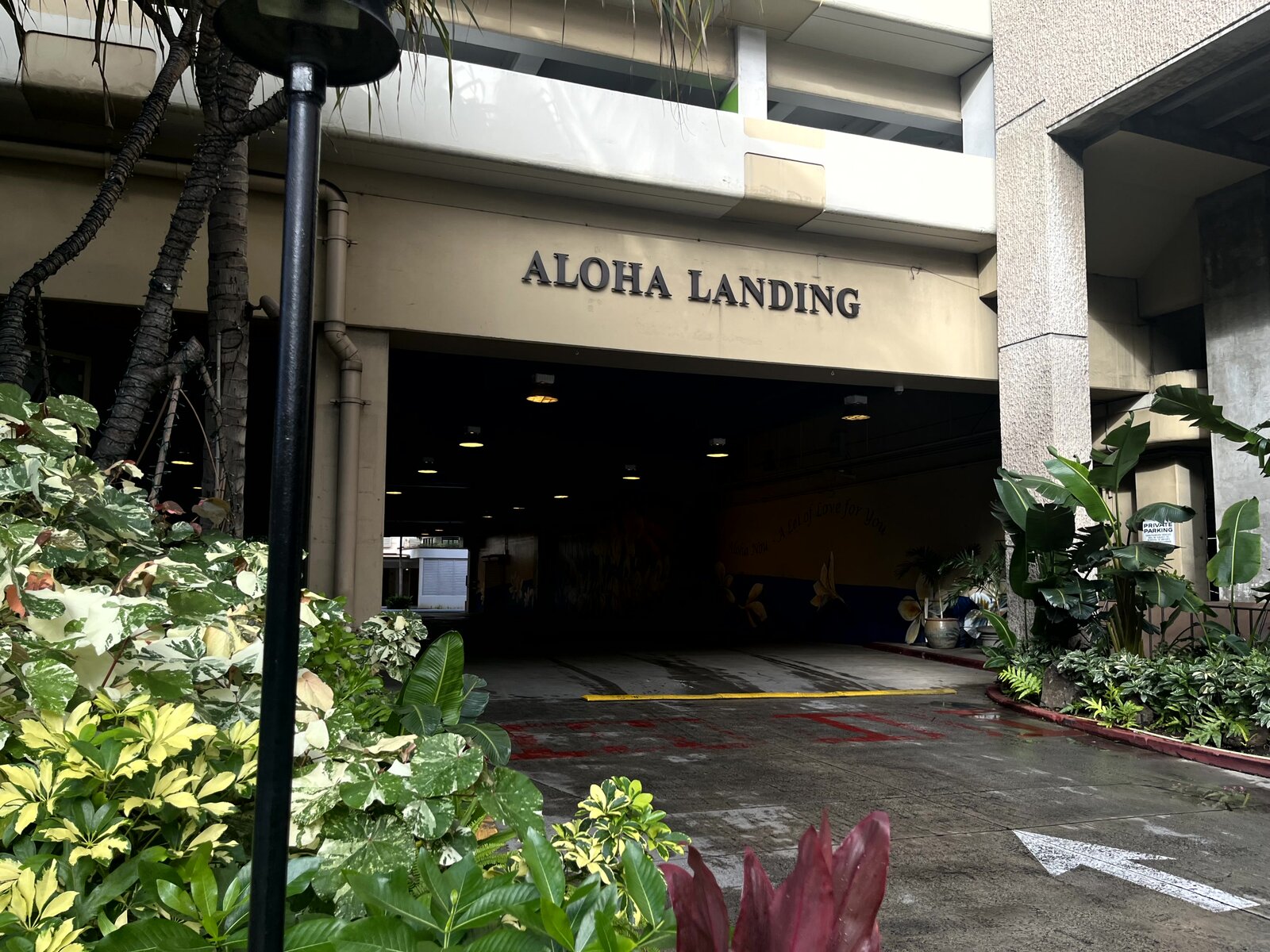 쉐라톤 와이키키의 ALOHA LANDING 글자가 붙은 차량 출입구와 주변 열대 식물